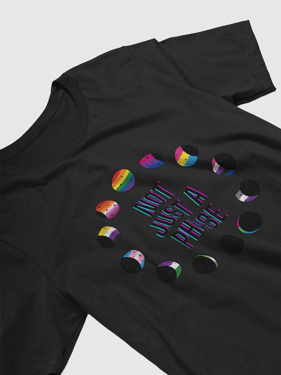 -Not Just a Phase- Pride Tee product image (17)