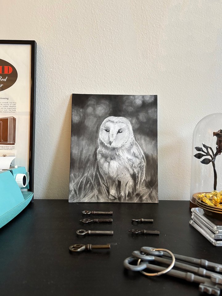 Owl - Original product image (1)