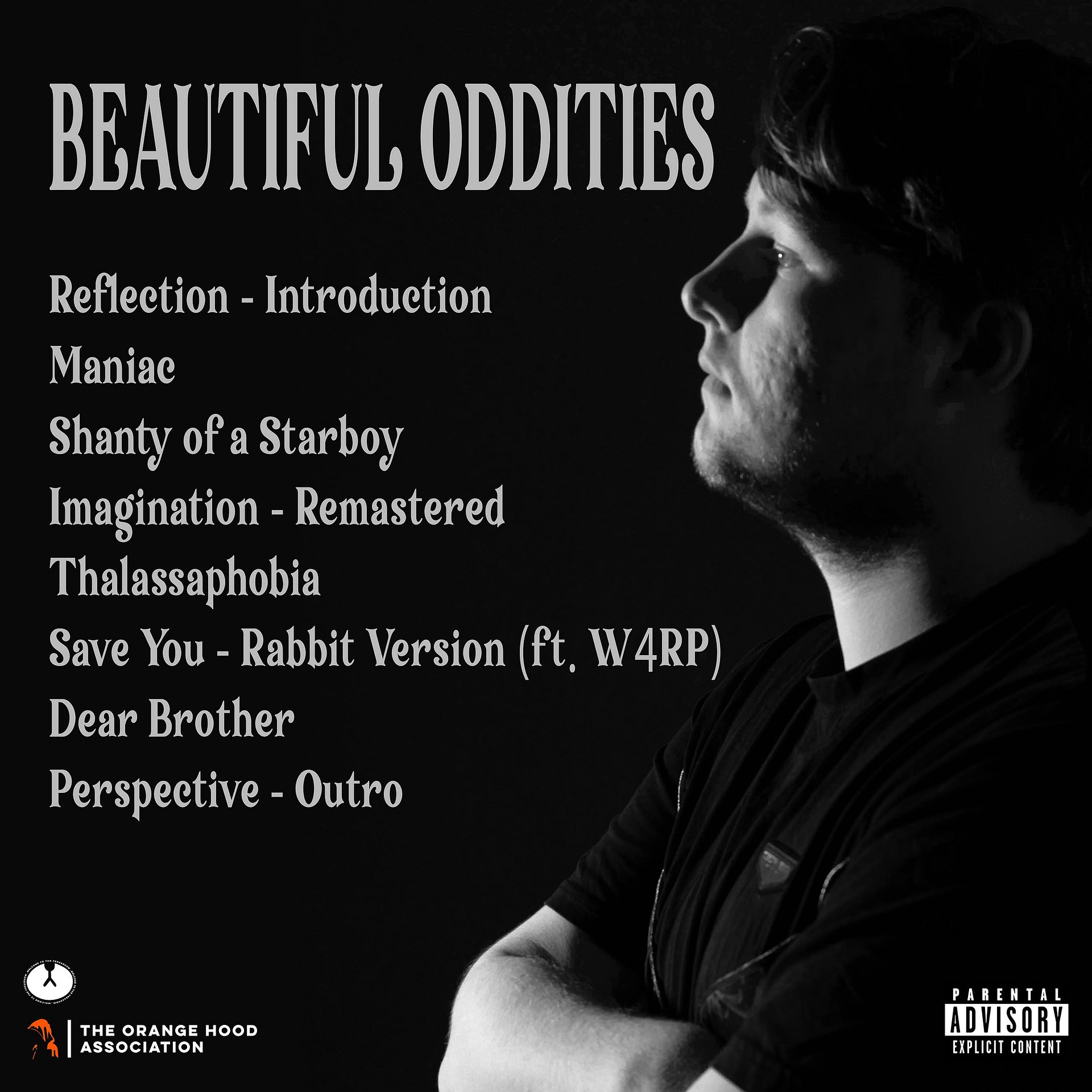 Beautiful Oddities (Digital Copy with Bonus Content) product image (3)