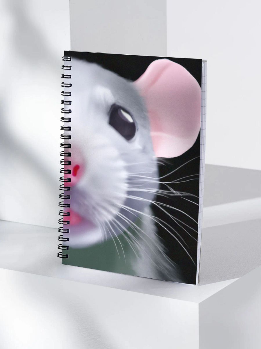 baby dumbo rat girl! diary product image (4)