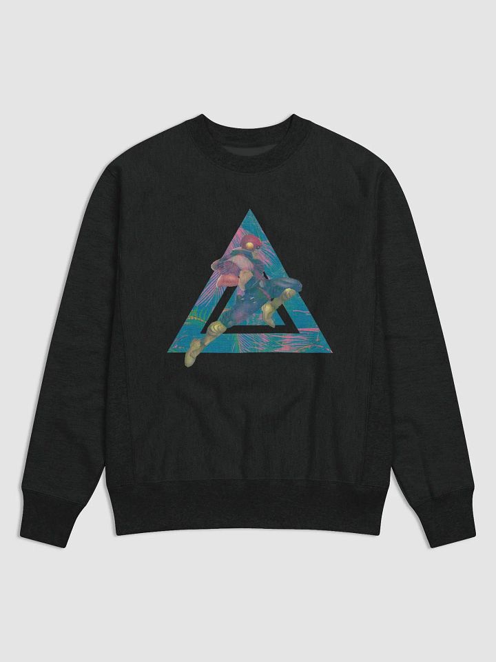 Falcon Sweatshirt product image (1)
