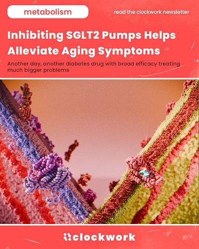 🧹 Your body needs help clearing out old cells.
This is one of the critical mechanisms that causes diseases related to aging. ...