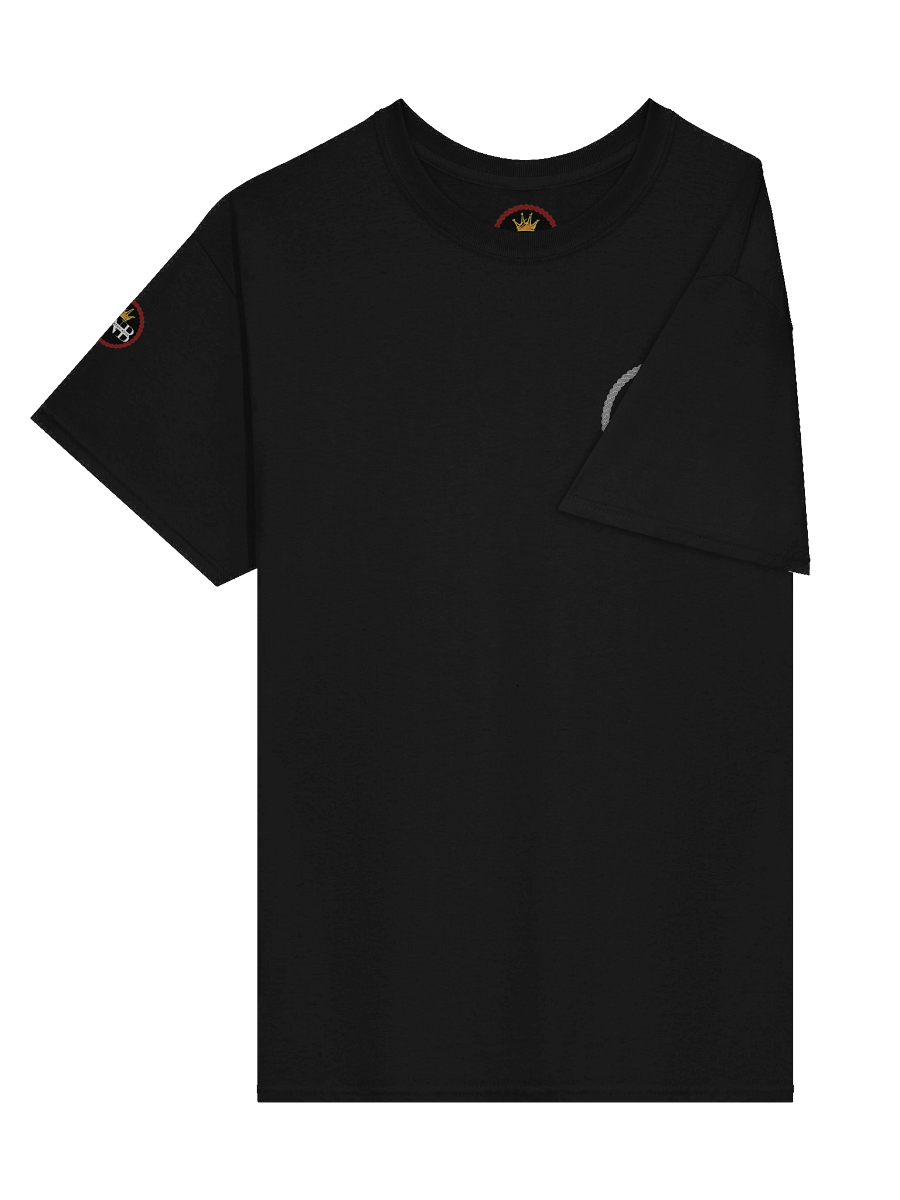 Streetwise Classic: Gildan Heavyweight Tee HOS Vukovar product image (3)