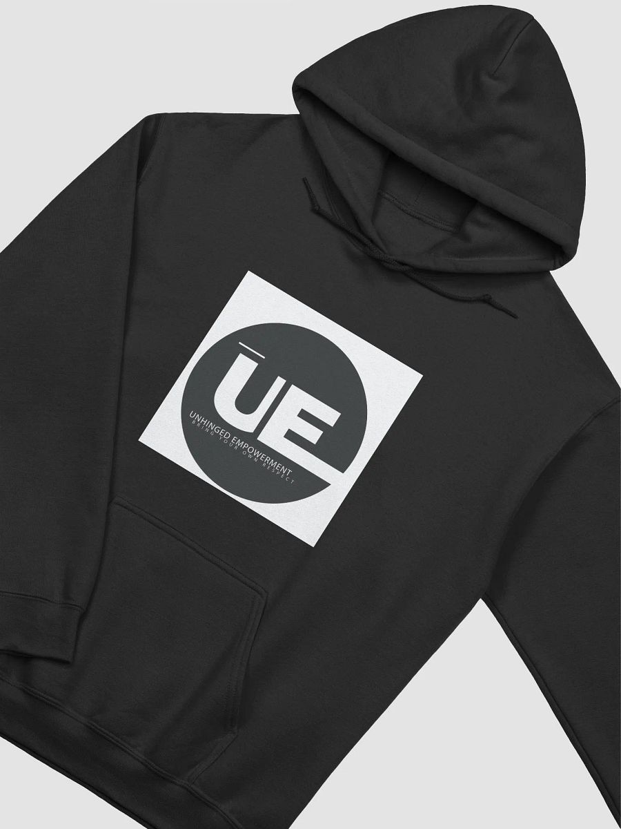 UE HOODIE product image (3)
