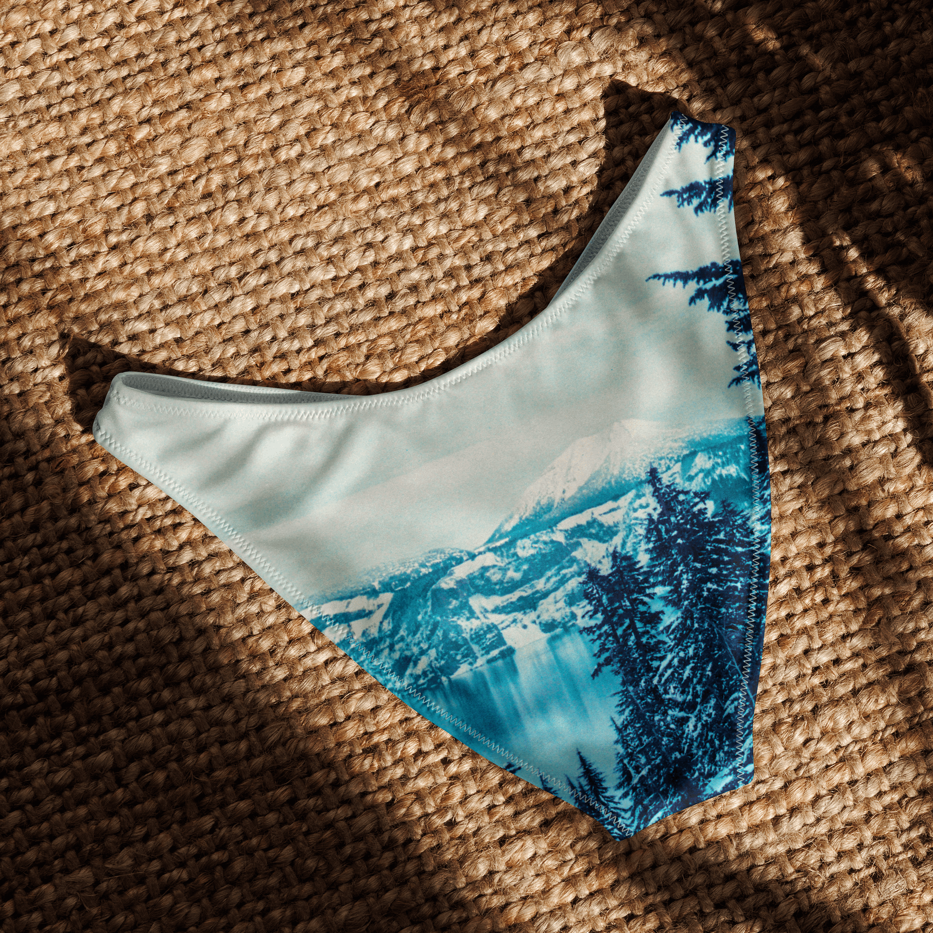 Craker Lake Lomopurple High Waisted Bikini Bottom product image (5)