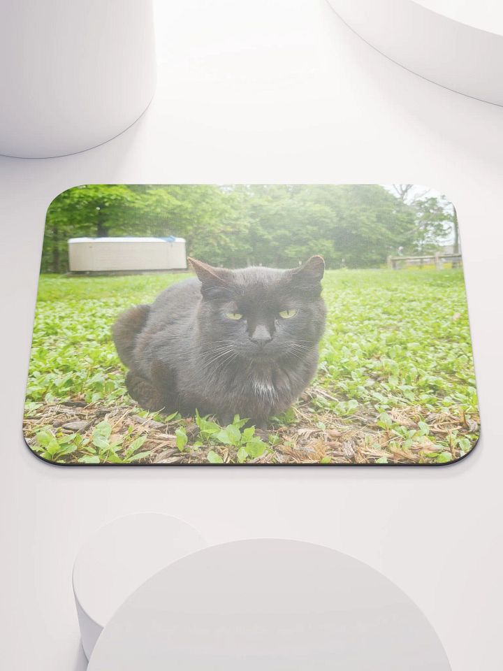 Charlie Classic Mouse Pad product image (1)