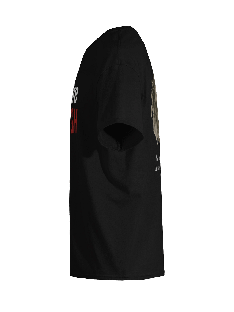 Storm Within product image (68)