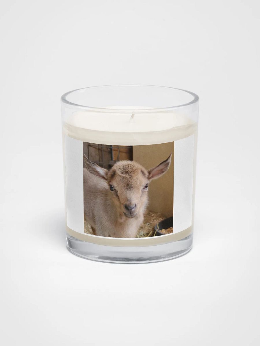 Baby Kiwi goat candle product image (1)