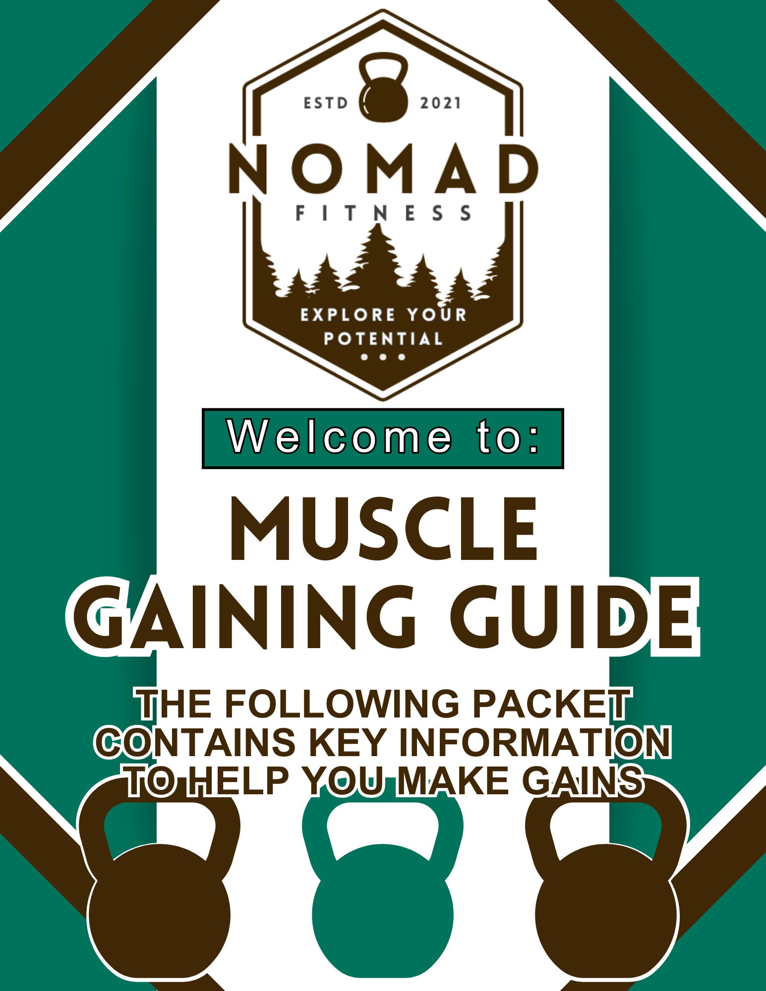 Muscle Gaining Guide product image (1)
