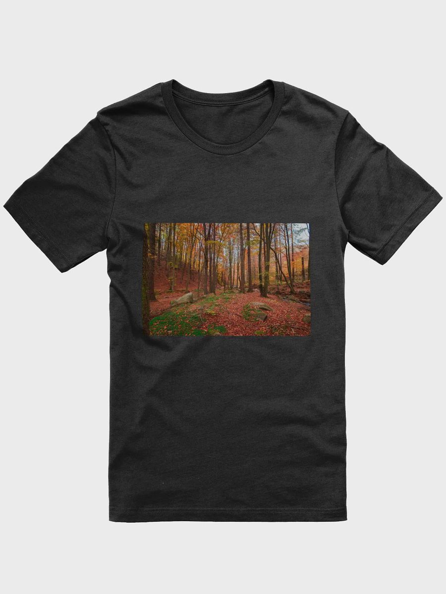 Forest Fall product image (1)