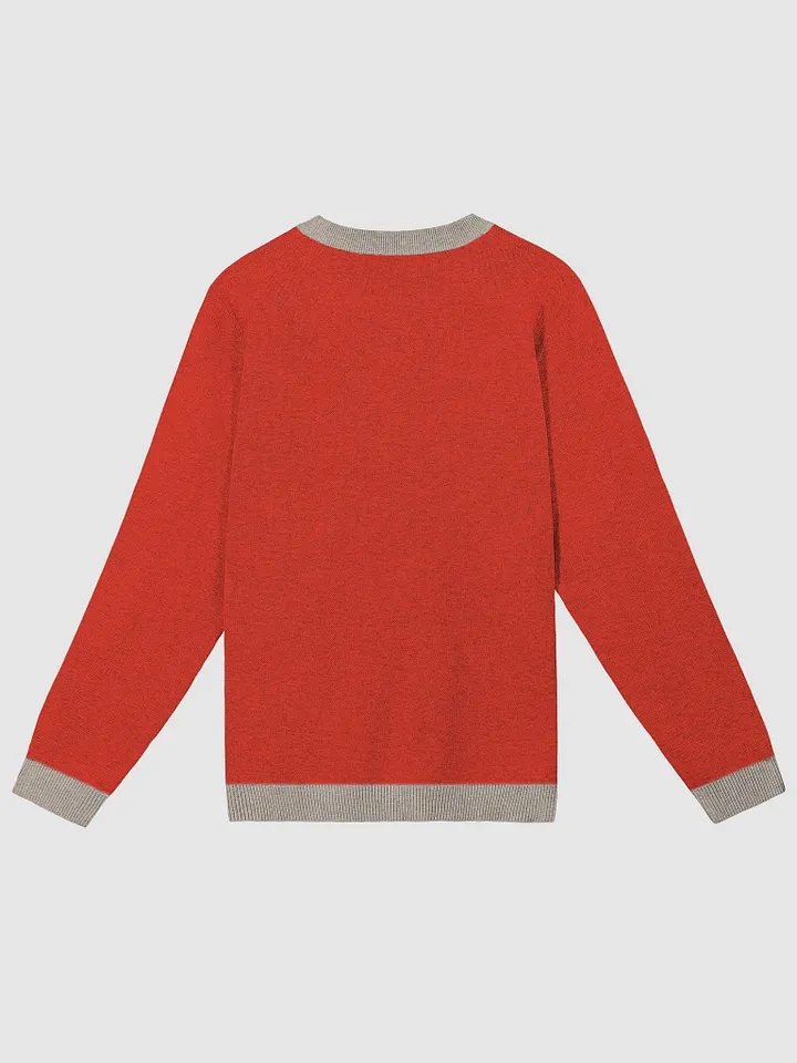 Mens Jumper product image (2)