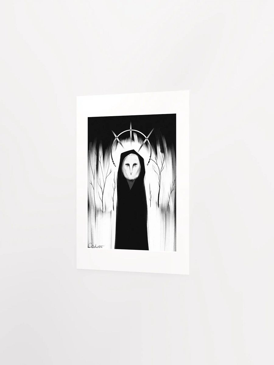 Owl - White Background product image (2)