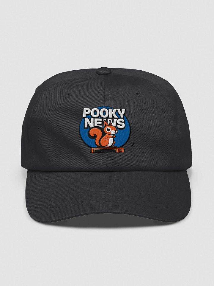 Baseball Hat Embroidered: Pooky News product image (1)