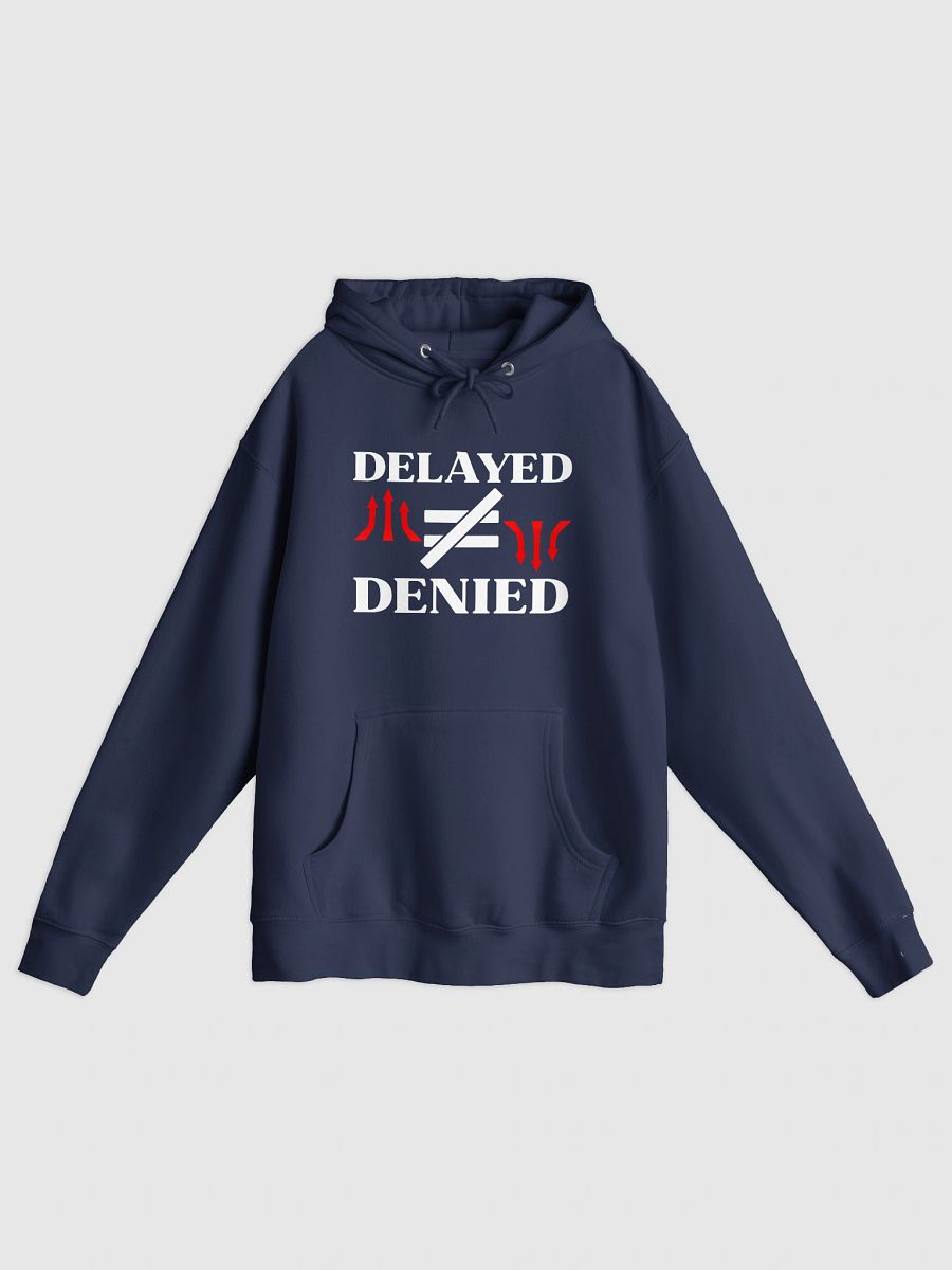 Delayed Not Denied Lane Seven Premium Pullover Hoodie. product image (3)