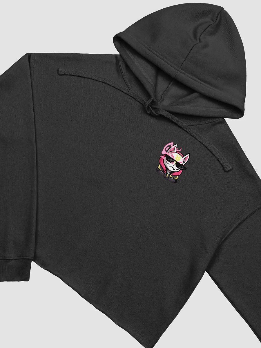 Outlawz Crop Hoodie product image (3)