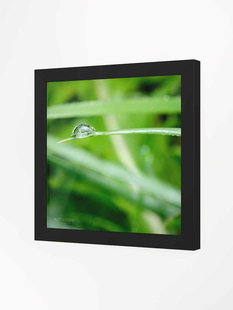 Dew Gems #10 - Framed Print product image (2)
