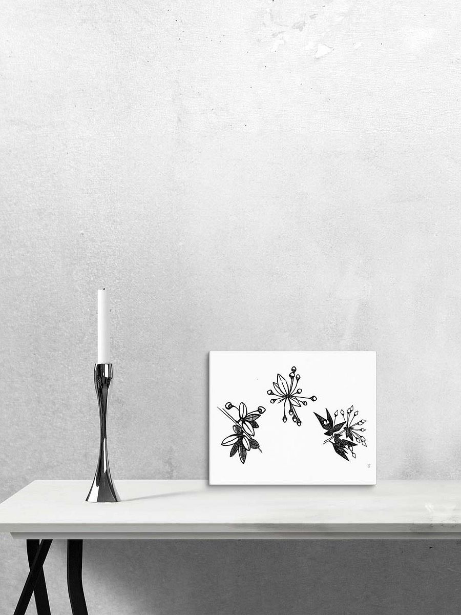 Blank Canvas Masterpieces - Stylized Plants product image (16)