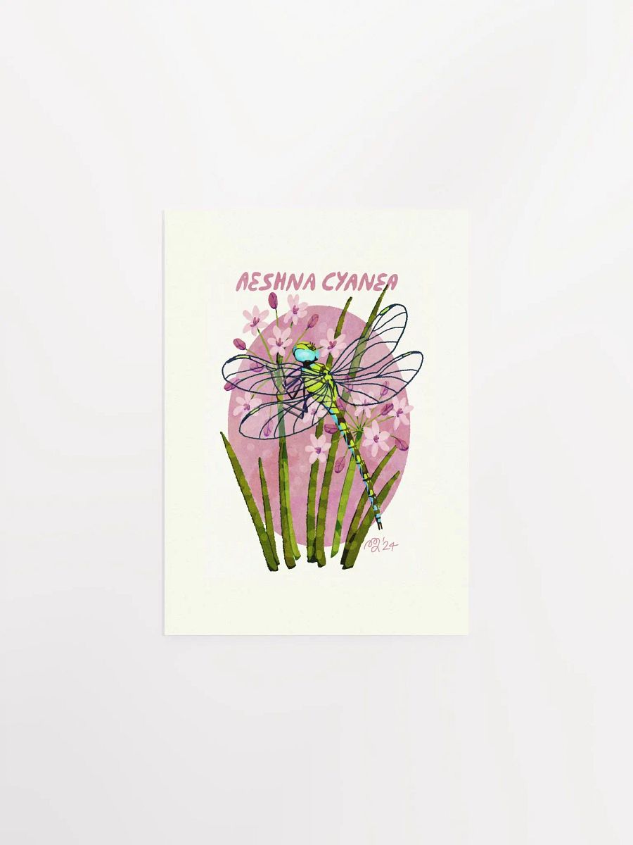 Blue Hawker Dragonfly Print product image (2)