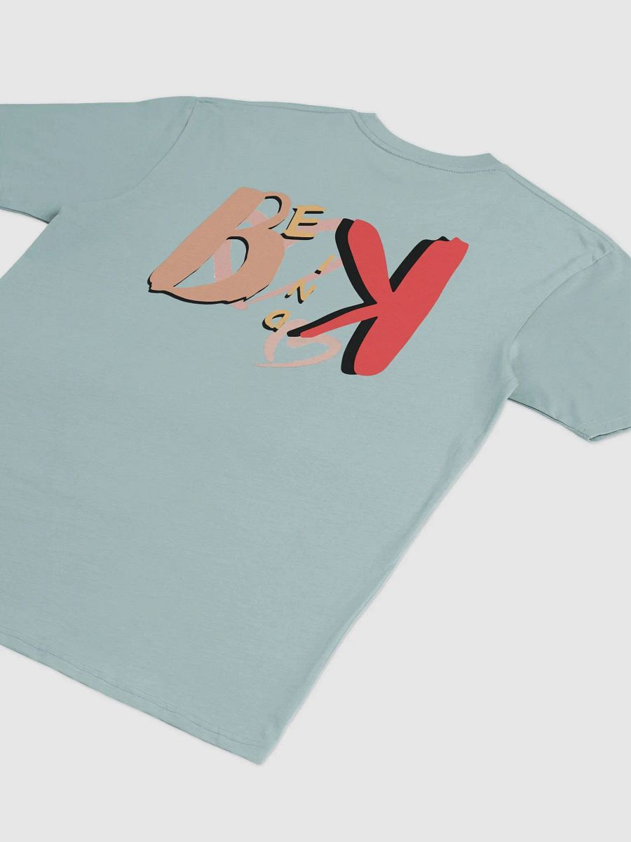 Be Kind Cotton Heritage Men's Premium Heavyweight Tee product image (4)