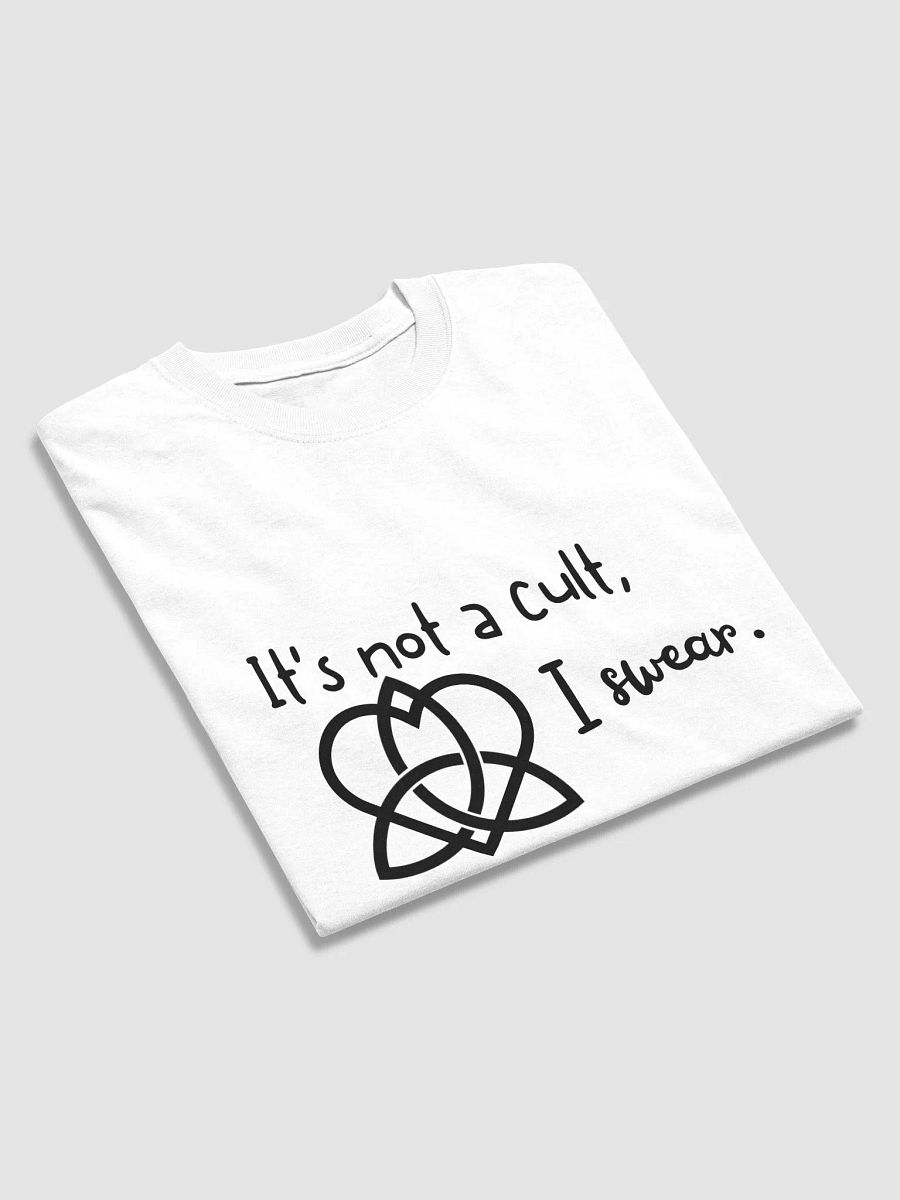 It's Not a Cult I Swear T-Shirt product image (33)