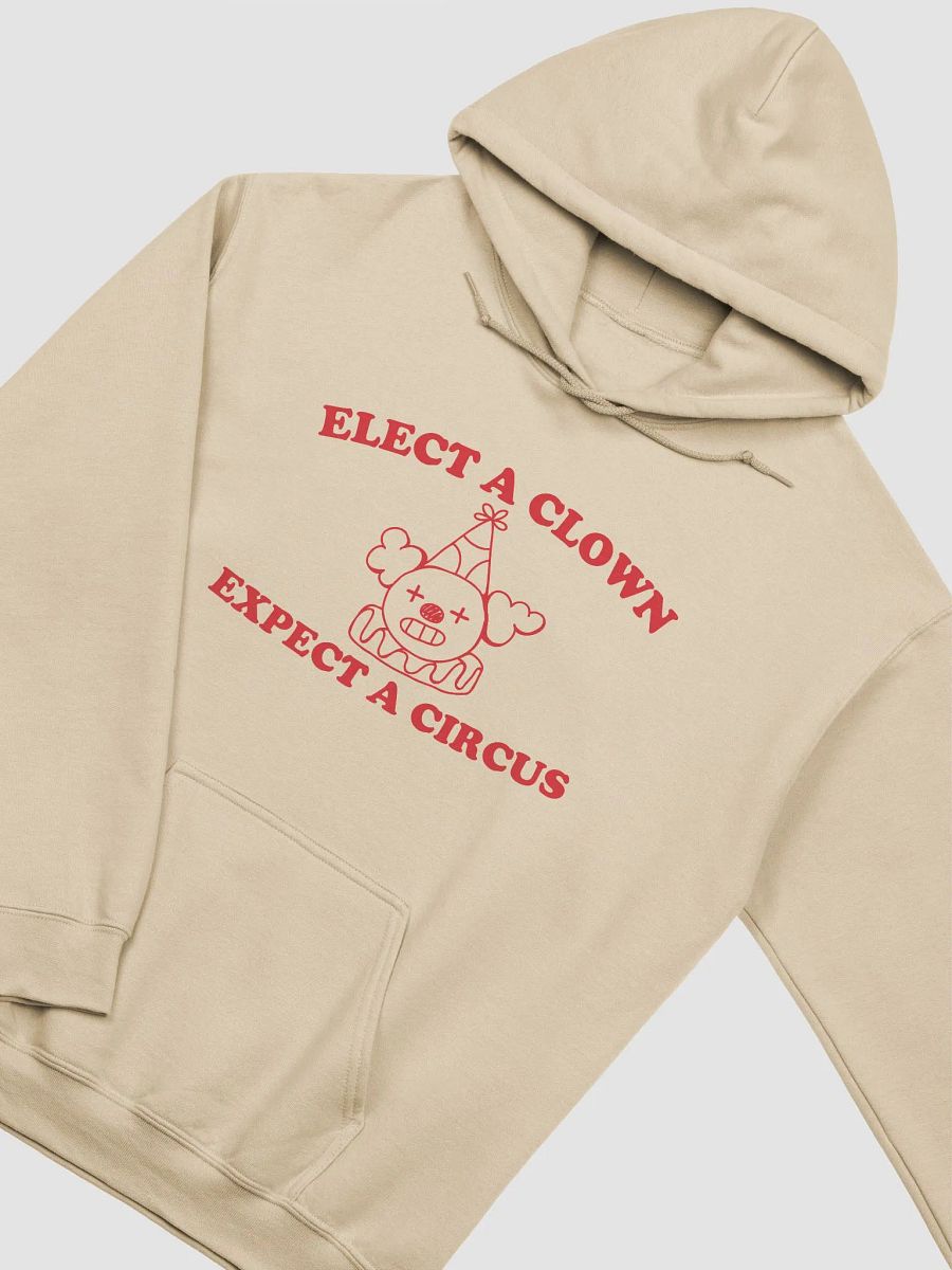 Elect a clown expect a circus Hoodie product image (9)