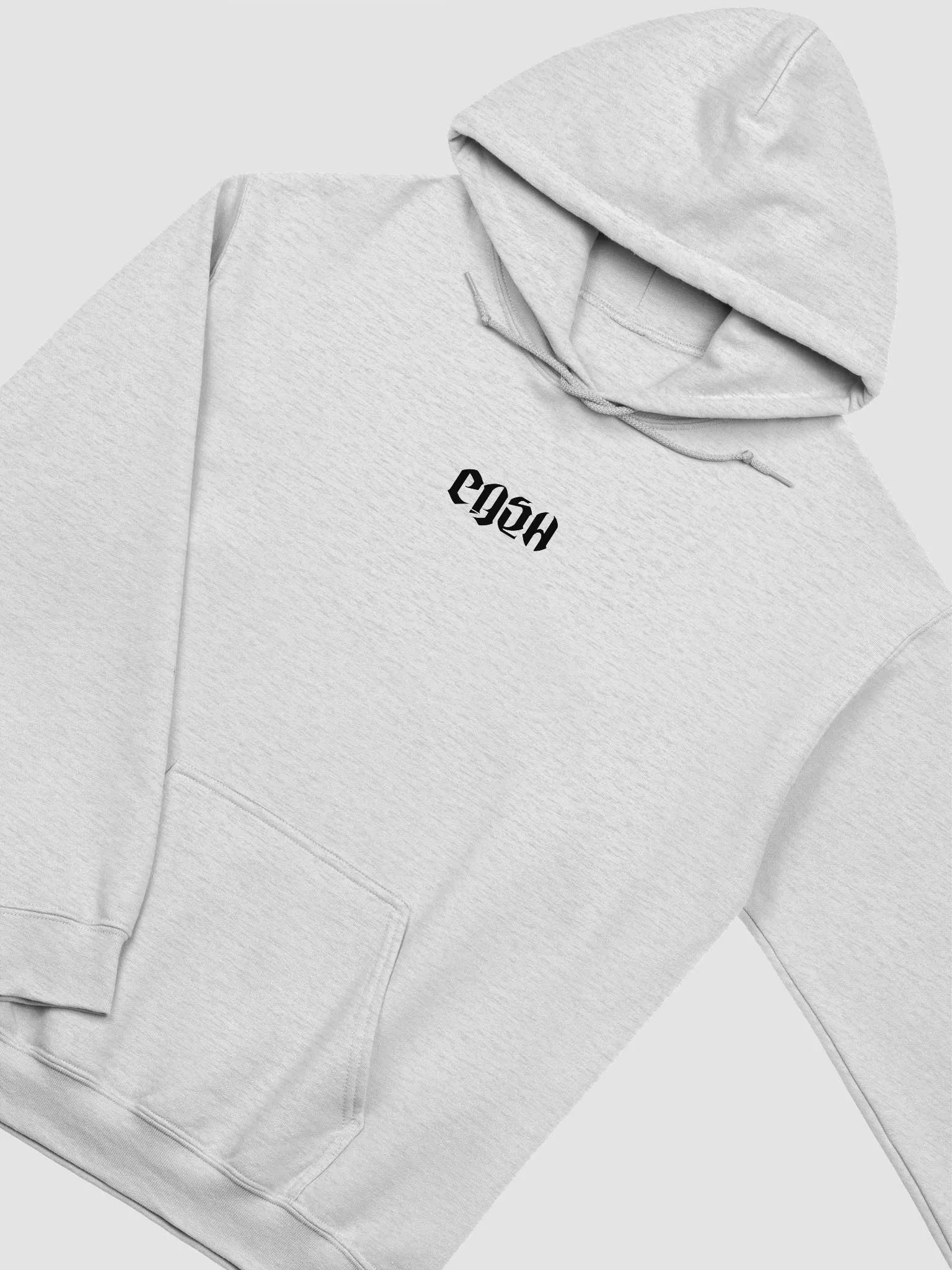 Printed Blue Cash Hoodie product image (21)