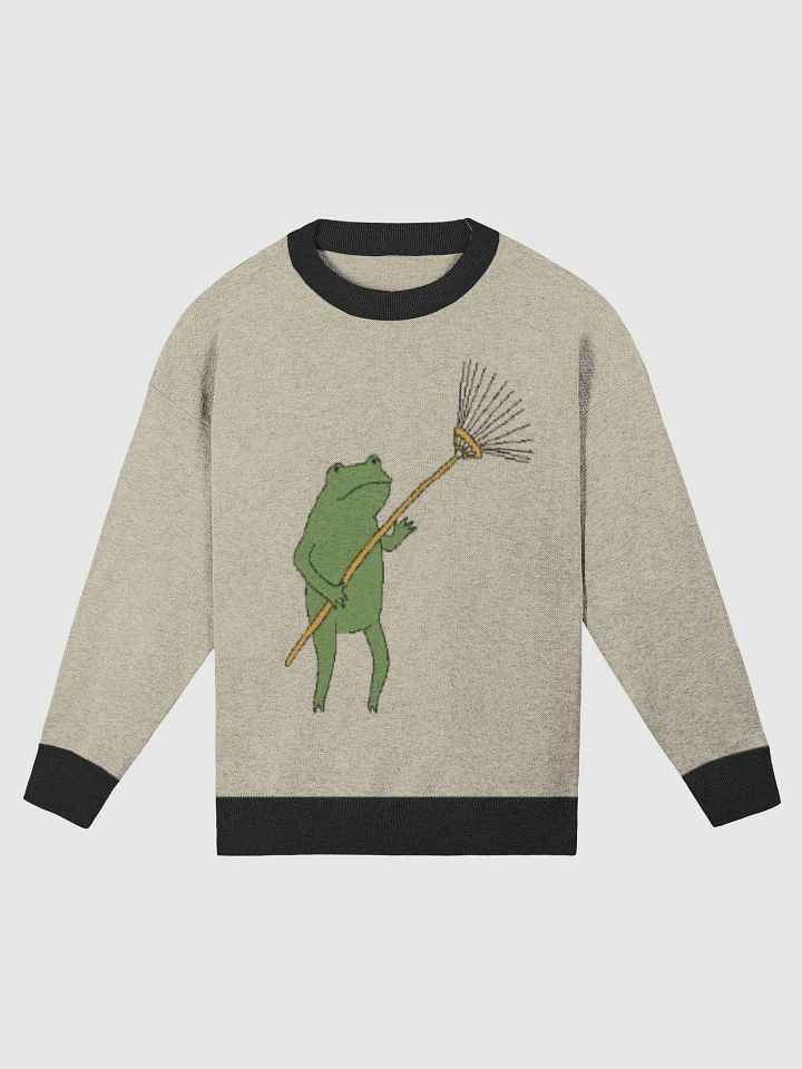 (FROG is going to live now with RAKE) - SECRET SWEATER product image (1)