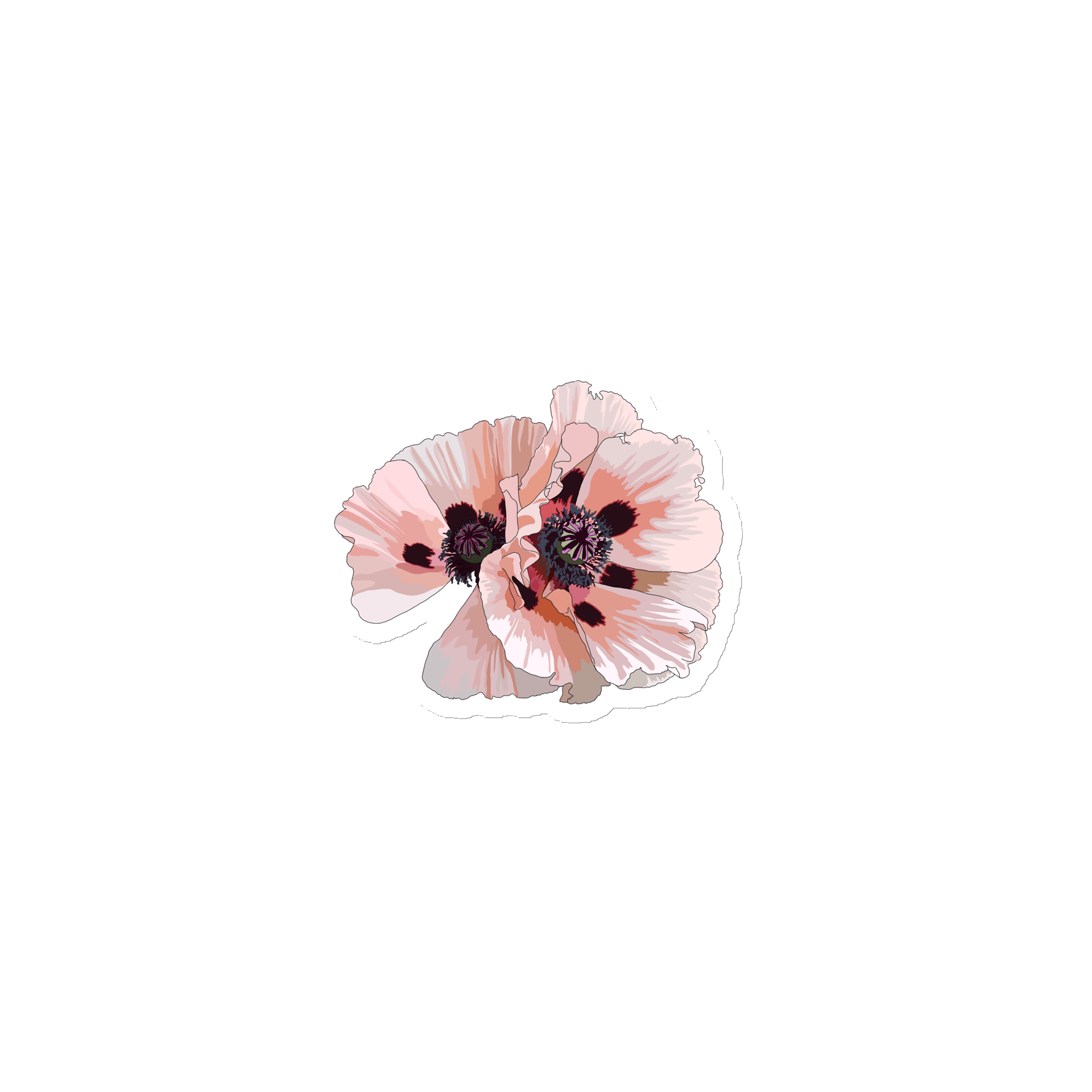Pink poppy magnet product image (1)