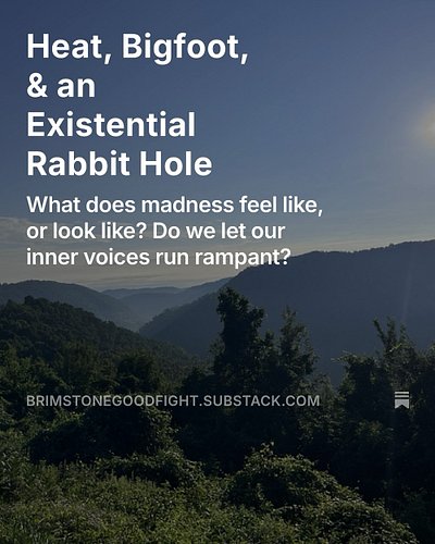 It’s time for a new Fighting the Good Fight! This was written after a long day in the hot sun at the West Virginia #Bigfoot f...