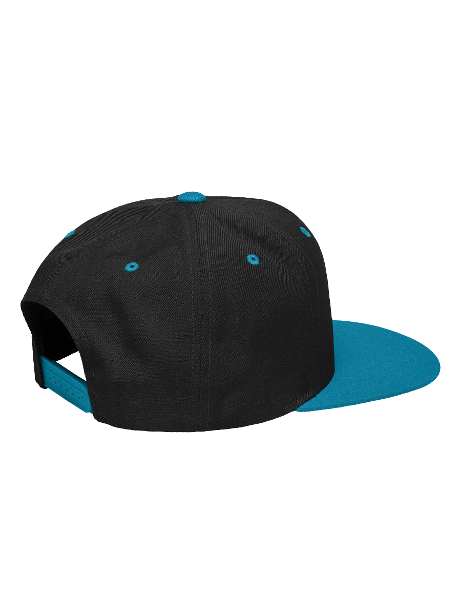 Team BRWCRW Spring/Summer Snapback product image (86)