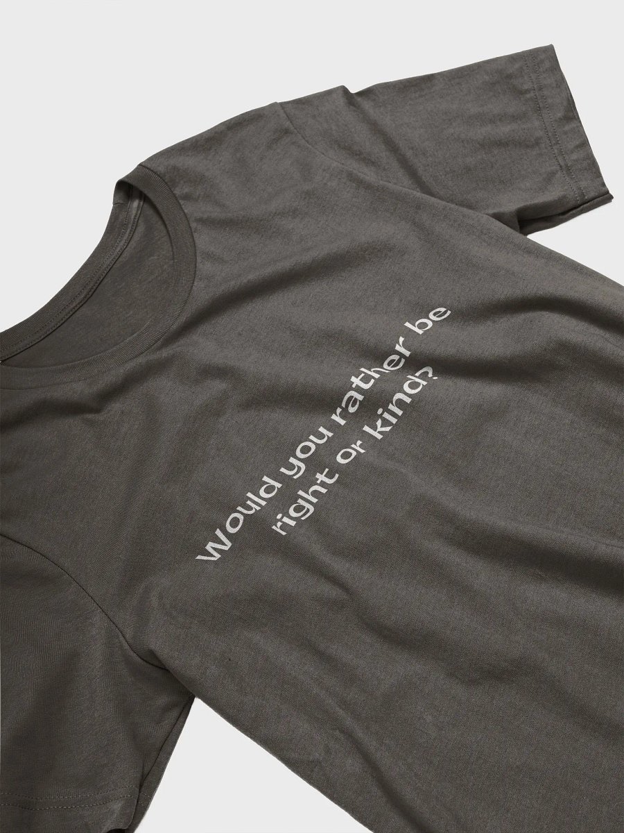 Right or Kind? – Wear the Choice That Matters product image (49)