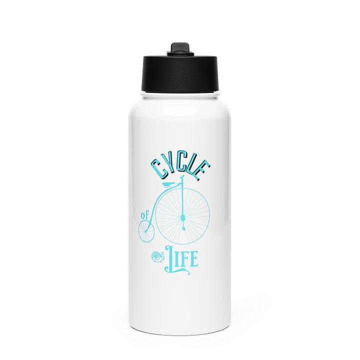 Cycle of Life Stainless Steel Water Bottle with a Straw Lid product image (1)