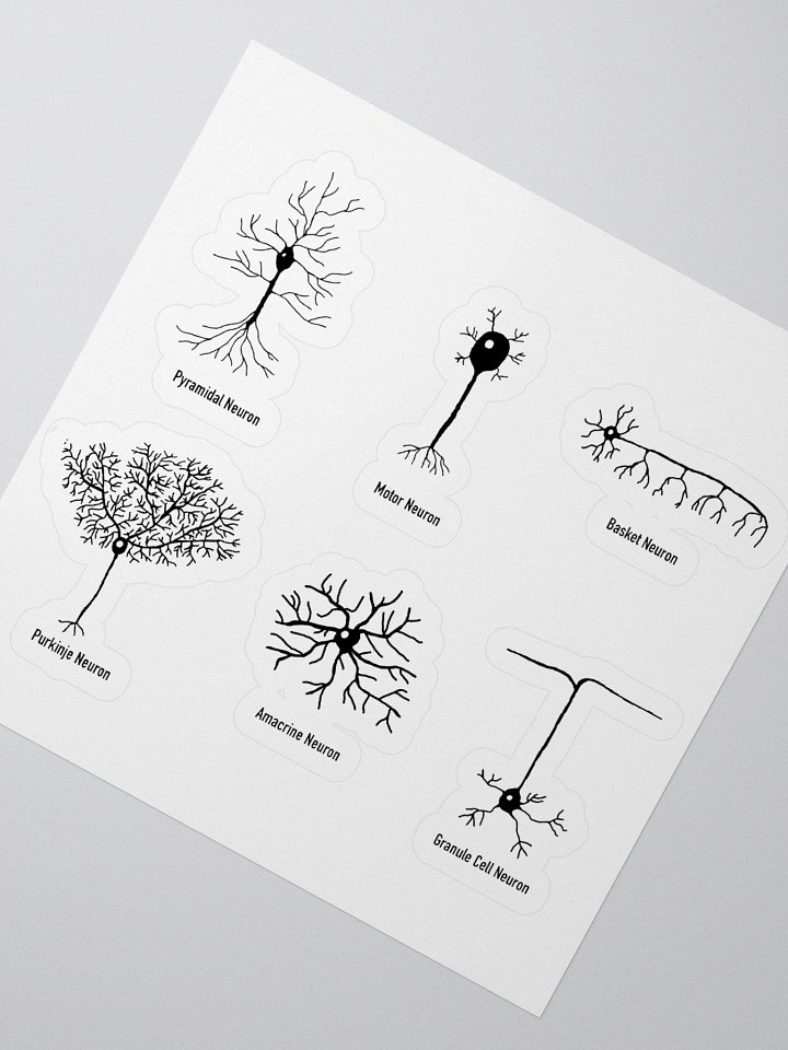 Types Of Neurons Kiss Cut Sticker product image (4)