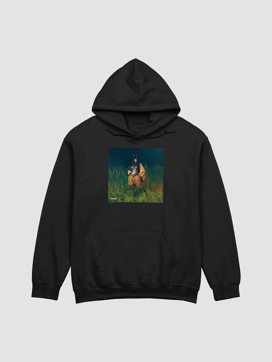 Lana Album SZA Hoodie product image (1)