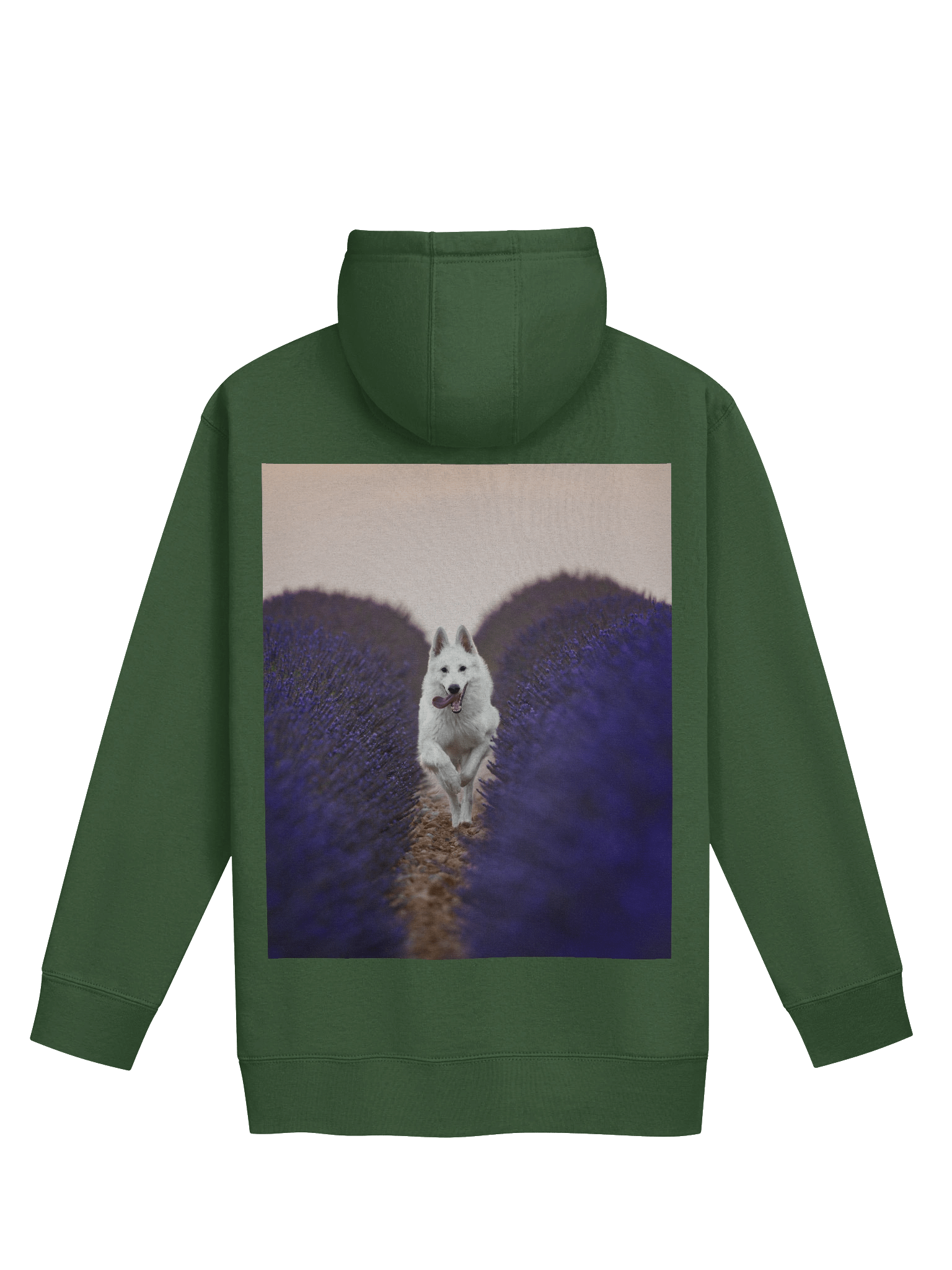 Rasta in the lavender fields product image (11)