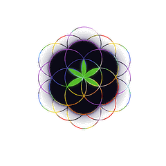 Stoned Chakra