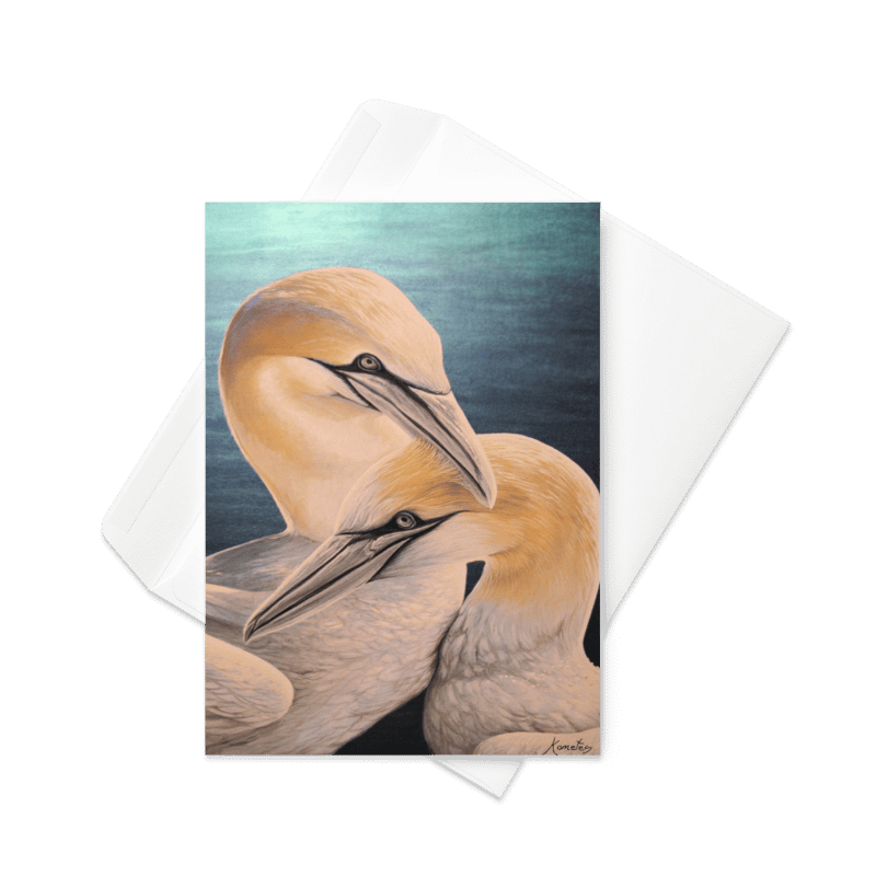 Lovers/Amoureux , fou de bassan product image (1)