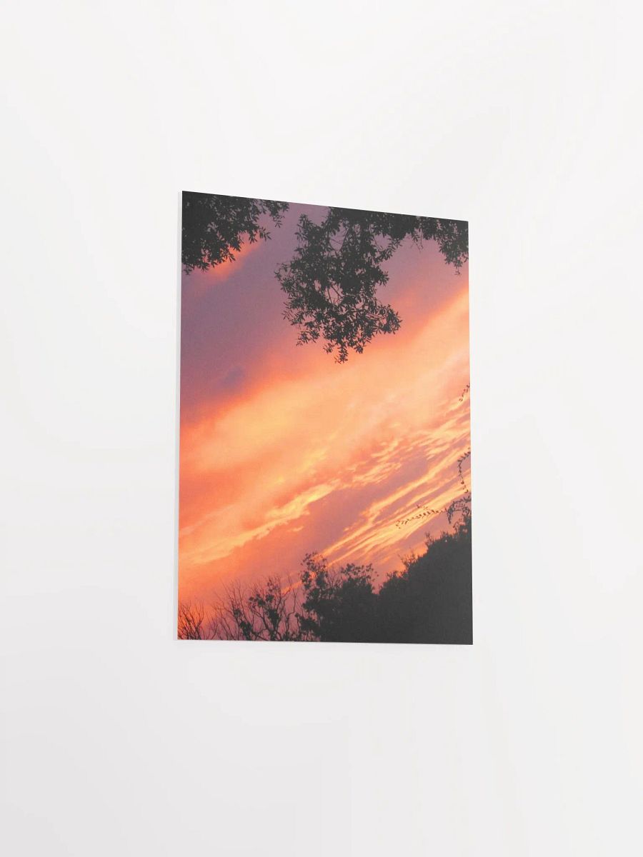 Florida Sunset 2 product image (31)