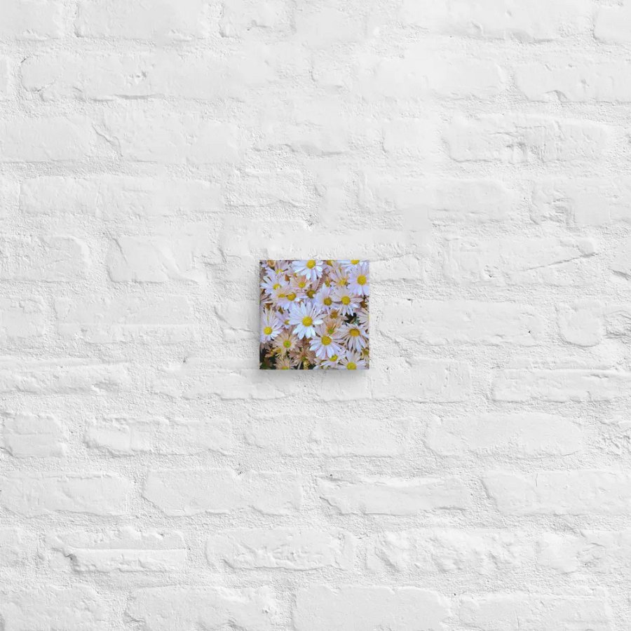 Field of Flowers product image (2)