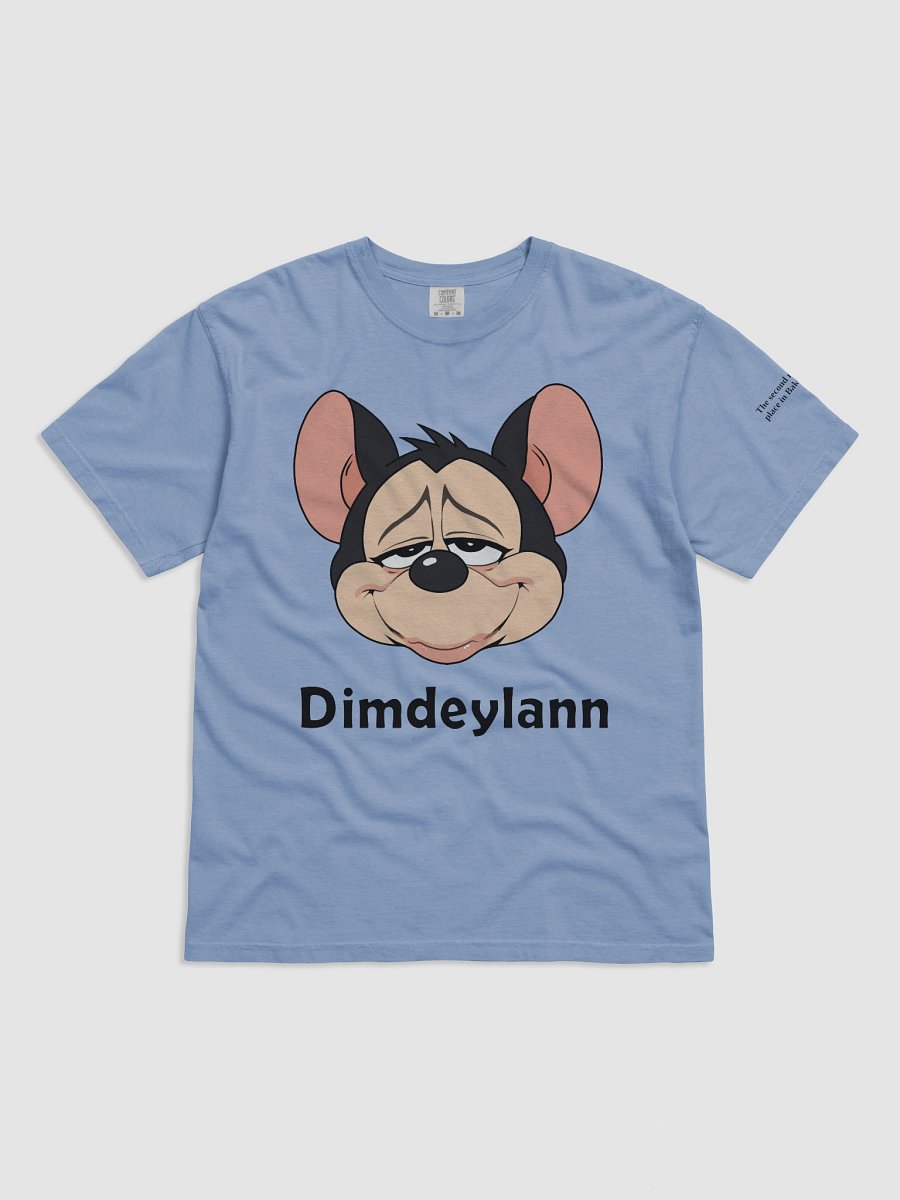 Dimdeylann Heavyweight Tee product image (13)