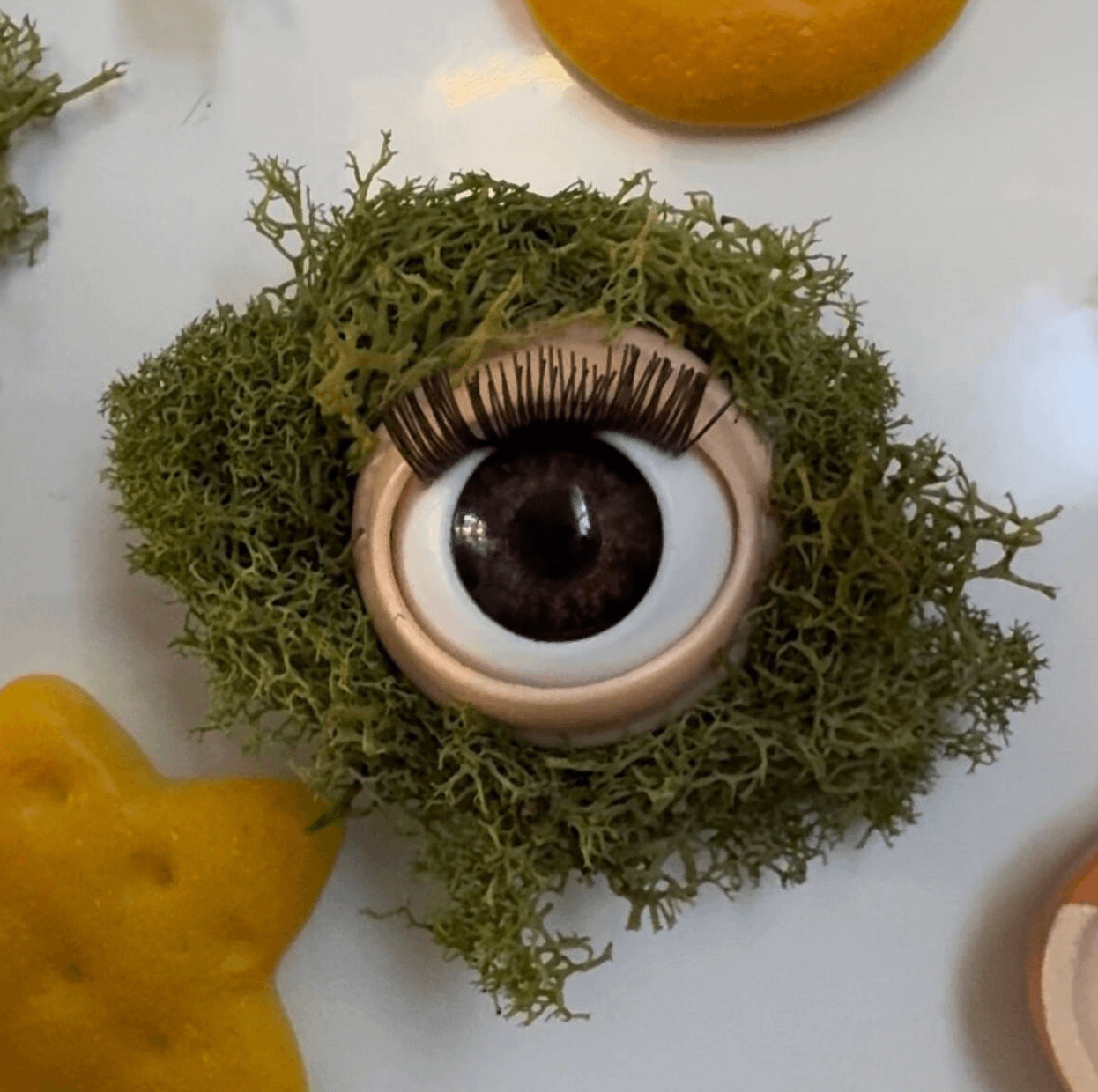 eye jumping spider decor/perch magnet product image (3)