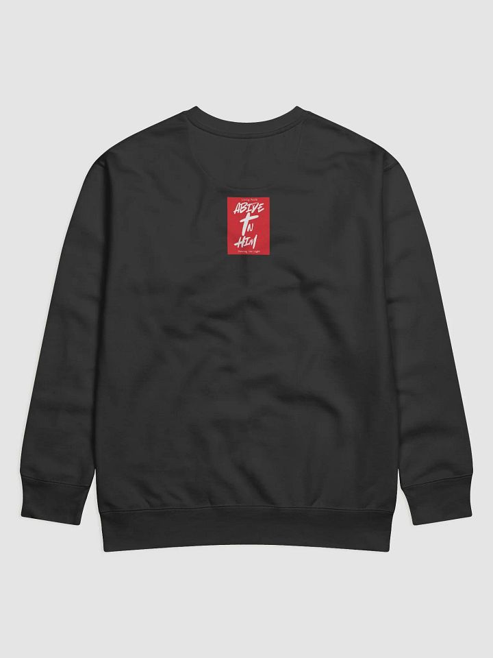 Abide In Him Christian Clothing - All Hail King Jesus Premium Sweatshirt product image (2)