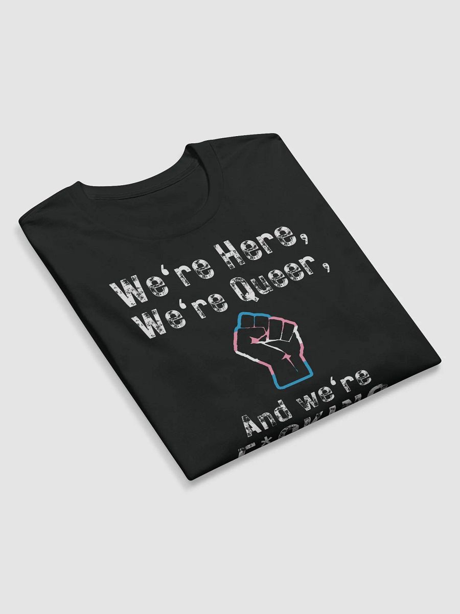 Here, Queer, and Pissed - Trans Rights Long Sleeve Shirt product image (5)