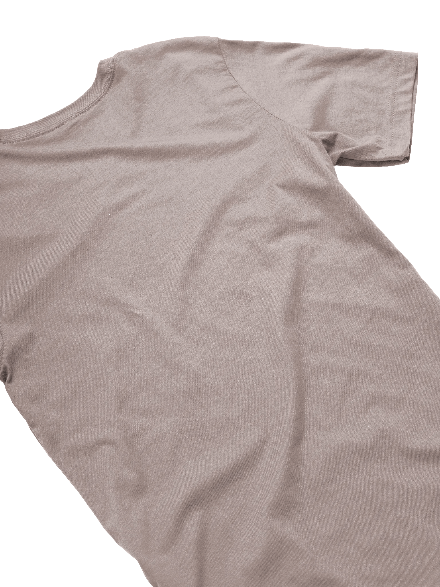 Vote Gambo for President of Hell T-Shirt product image (14)