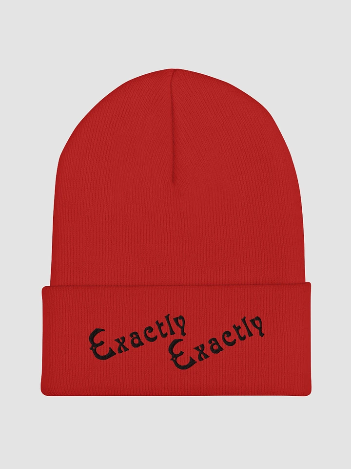 Exactly Exactly Cuffed Beanie Color product image (1)