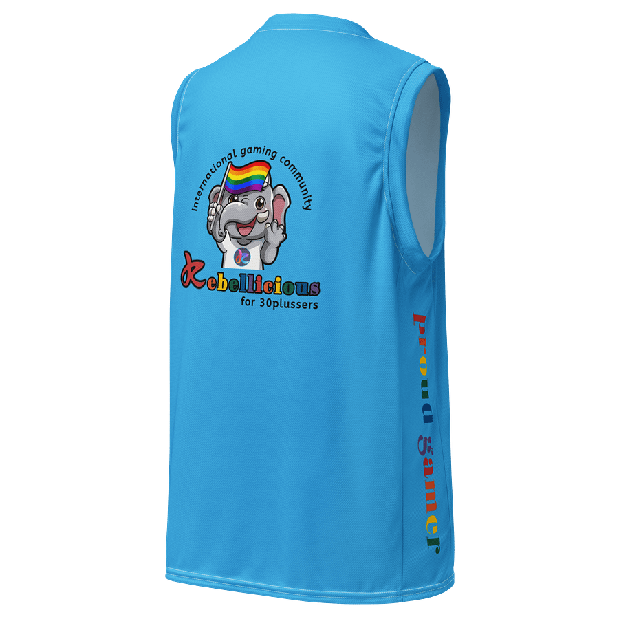 COURT DOMINATOR BLUE JERSEY PRIDE product image (3)