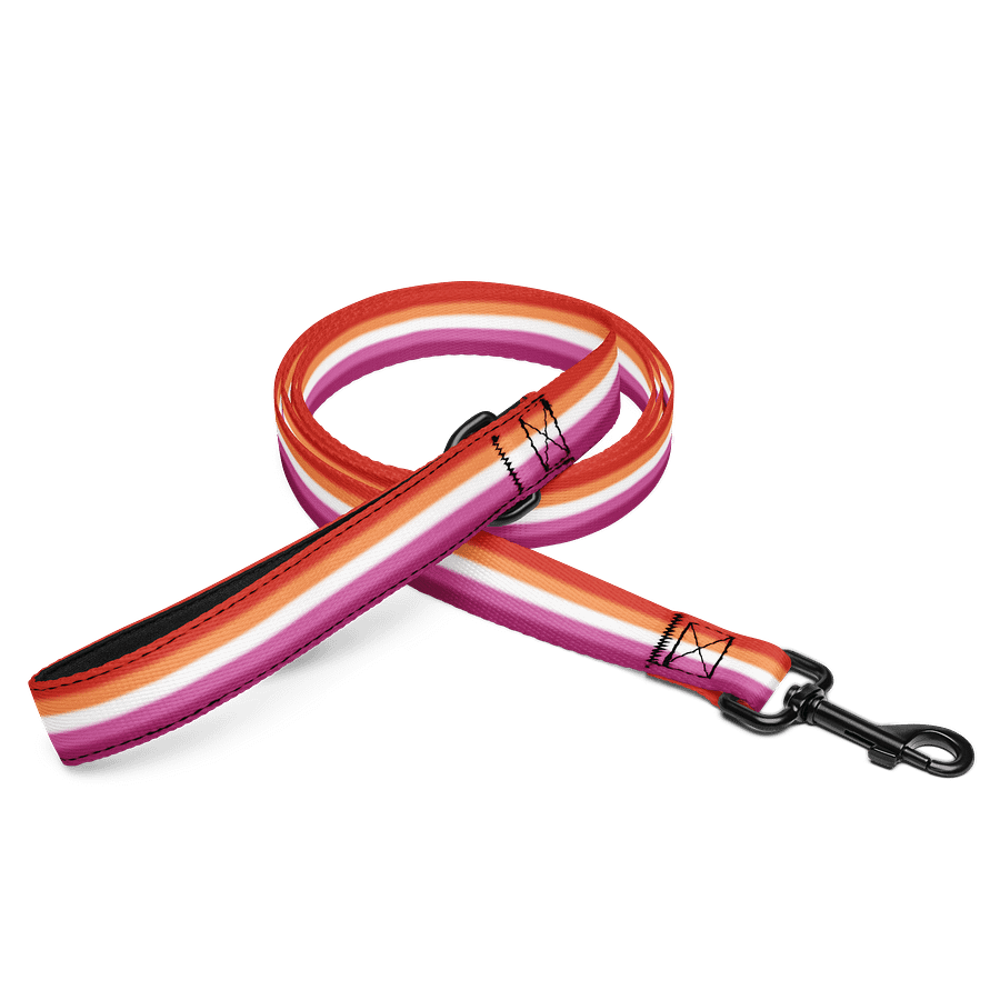 Lesbian Pride Flag Pet Leash product image (1)