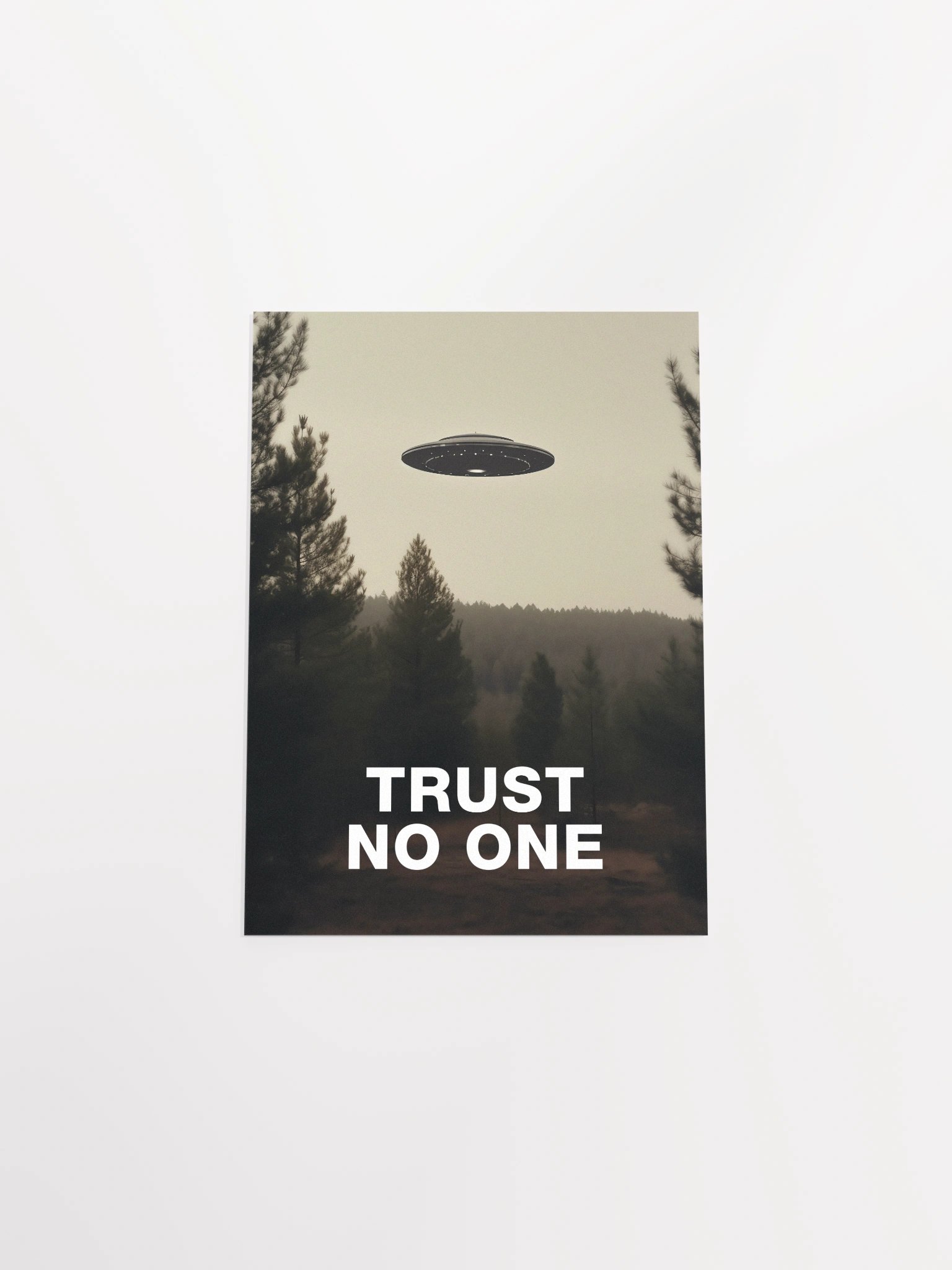 Trust No One/The X-Files poster, S01E24 1994 — sci-fi poster, movie art, I want to believe poster, space print, aliens wall decor product image (9)