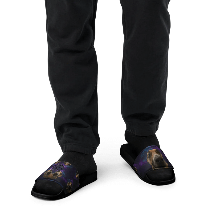 The Ruka Steppers product image (12)