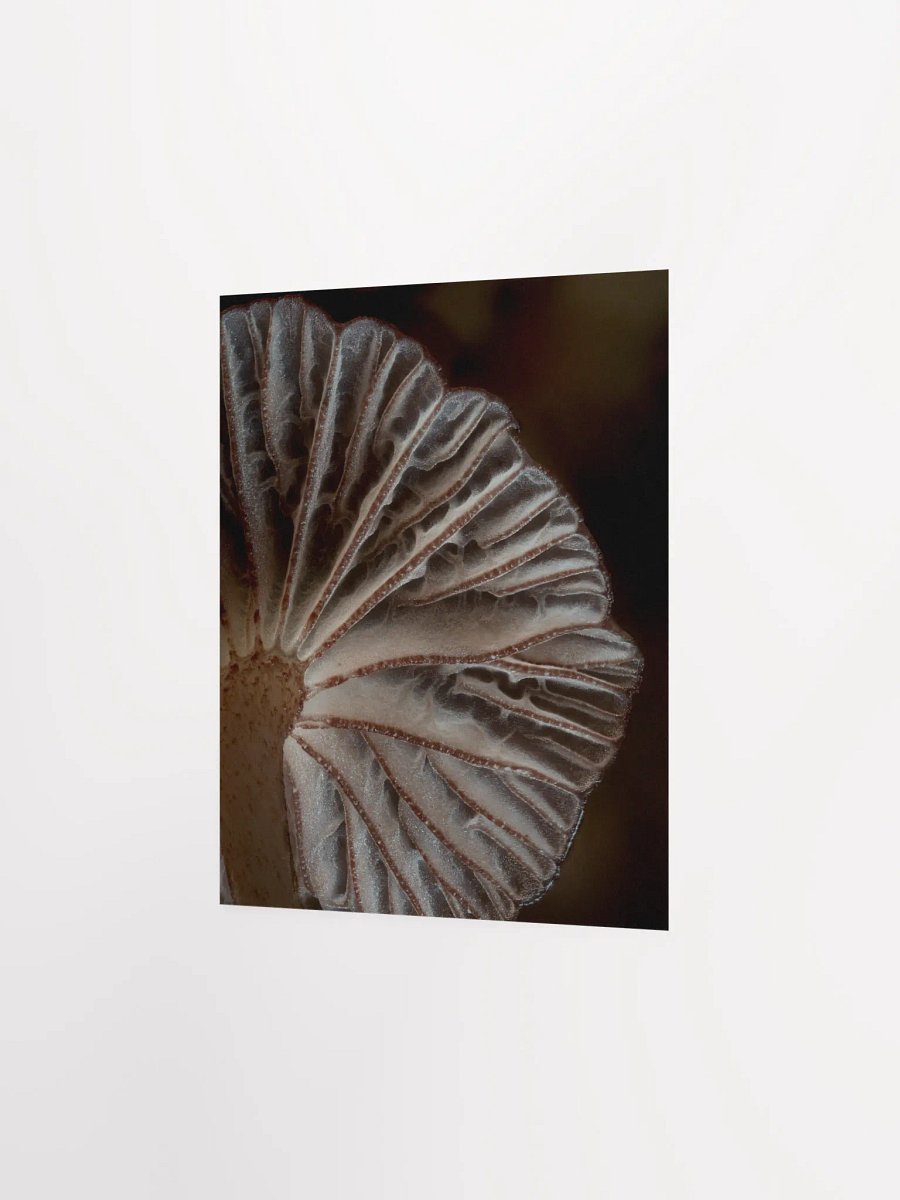 Purple Mycena Print product image (4)